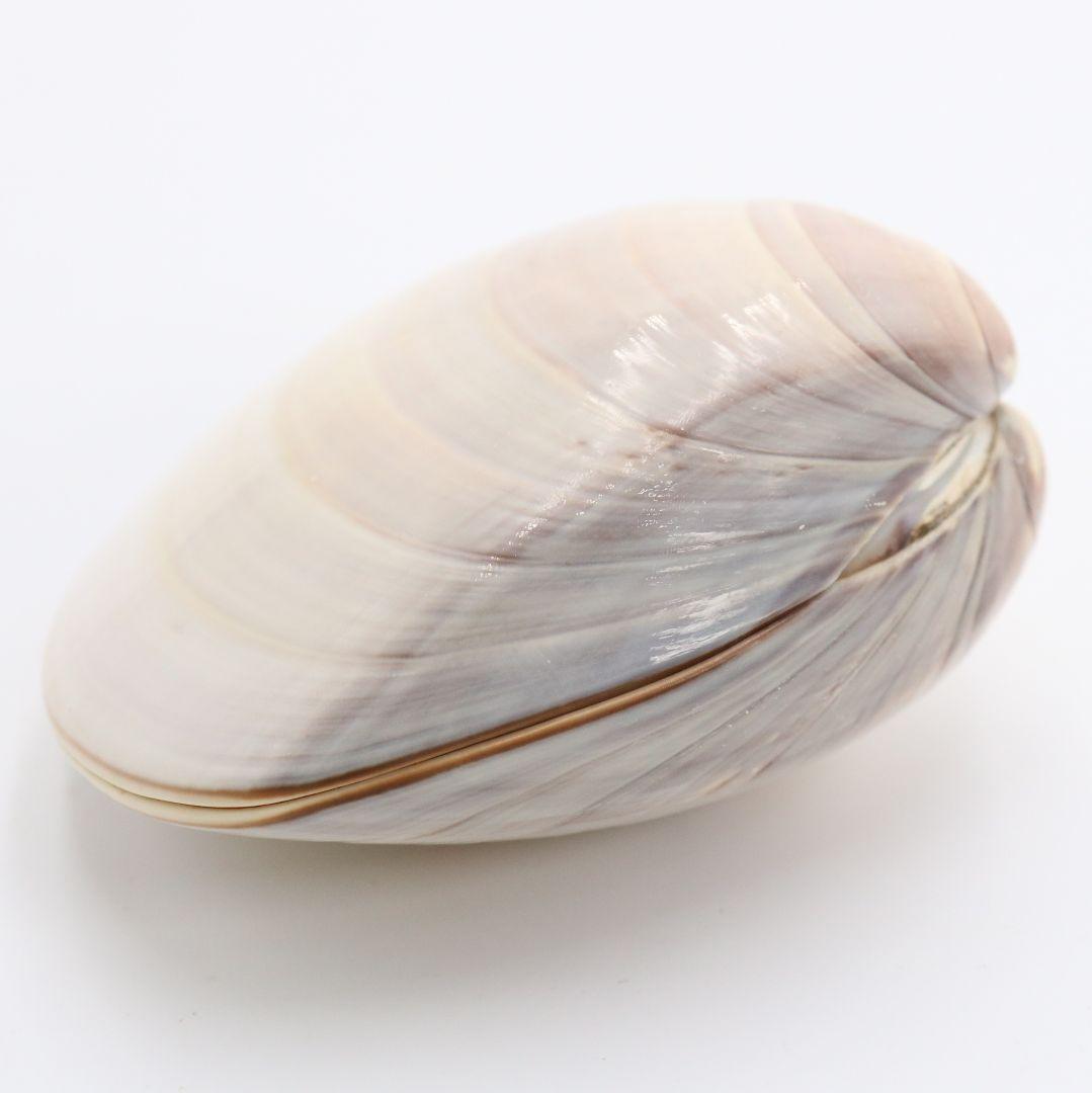 宗朝作 蛤香合 犬張子 共箱 茶道具　AT310　NT1