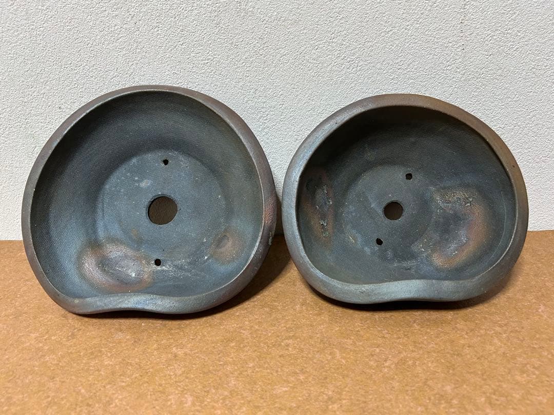 竹鳳　焼締変形盆栽鉢　貴風盆栽　小品盆栽　文人木　寄せ植え　山野草