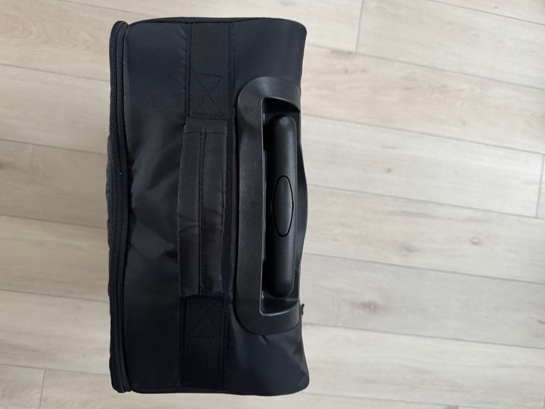 【最終値下】ブエナビスタ　キャリーバック