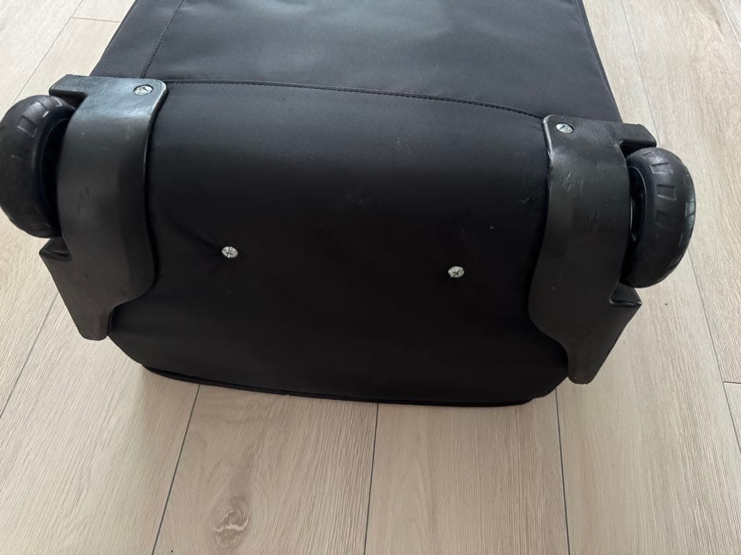 【最終値下】ブエナビスタ　キャリーバック