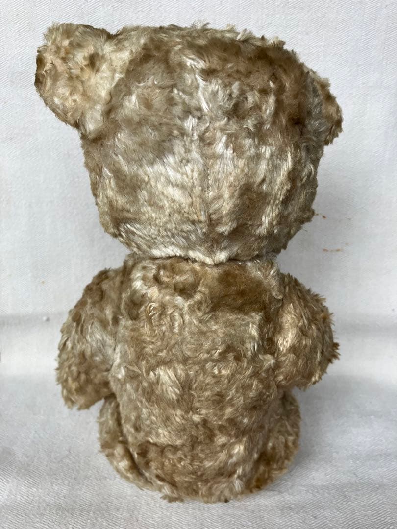 スロベニアの蚤の市に転がっていたテディベア スロヴェニア アンティーク