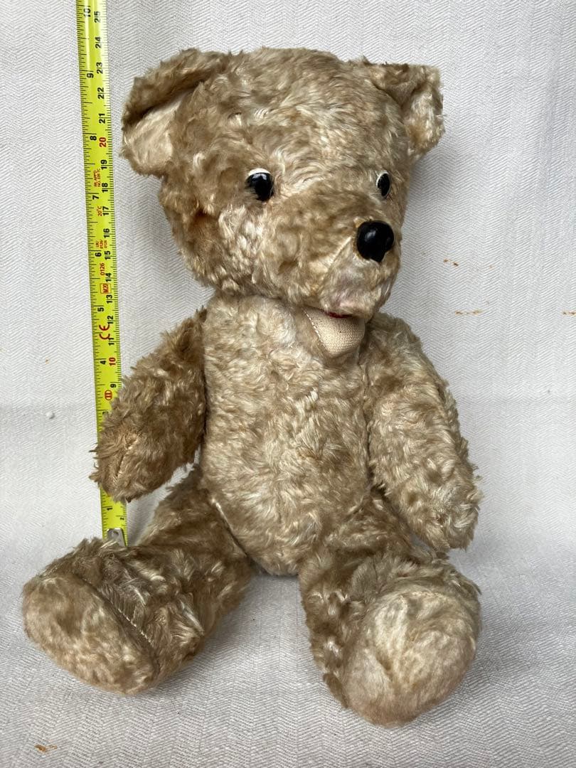 スロベニアの蚤の市に転がっていたテディベア スロヴェニア アンティーク