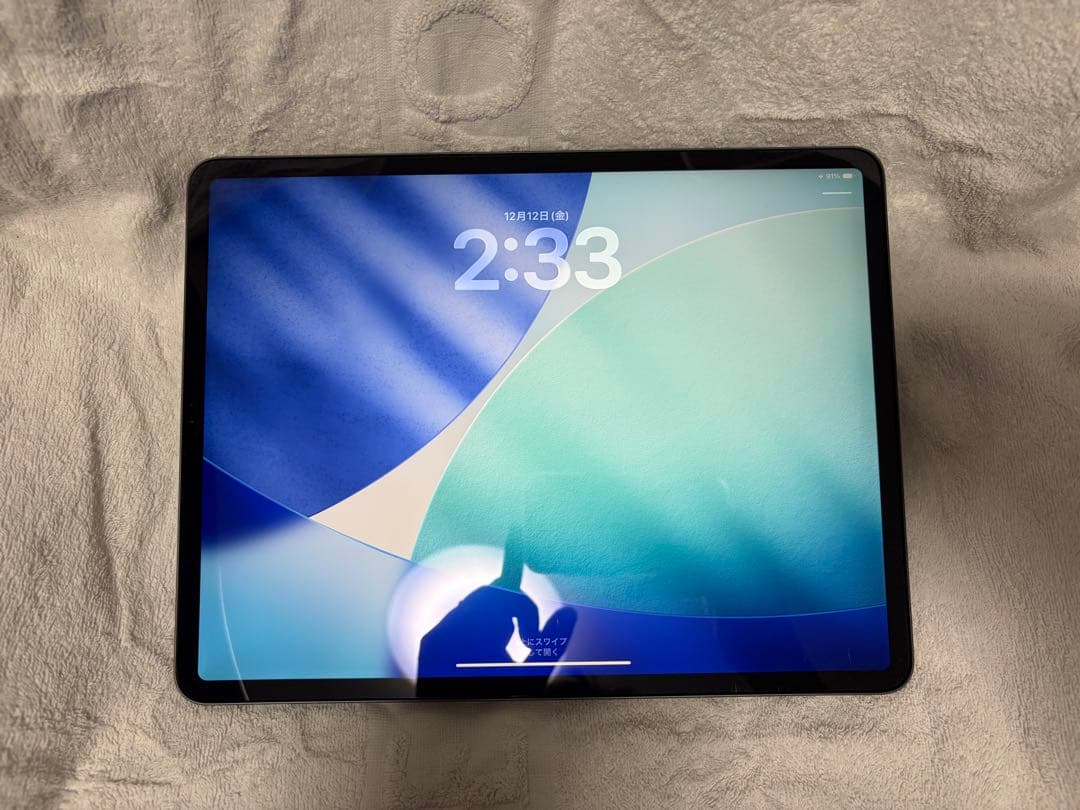 iPad Pro 12.9インチ第3世代 256GB