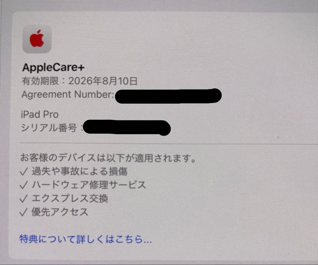 ア*ア様 Apple iPad Pro 11インチ (M4) 256GB Wi-