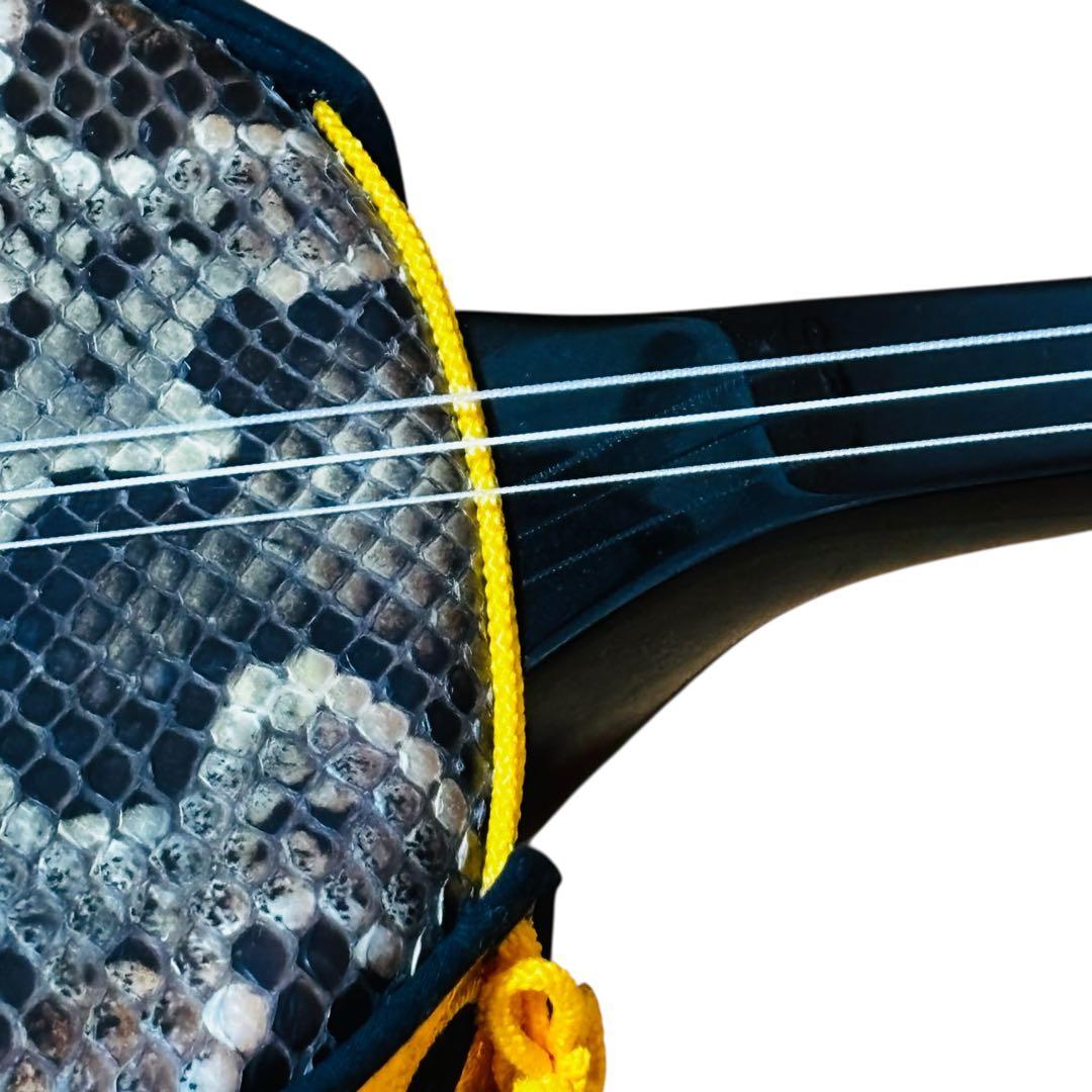 三線 蛇皮調 真壁型 黒塗り棹 ケース付き（付属品あり）