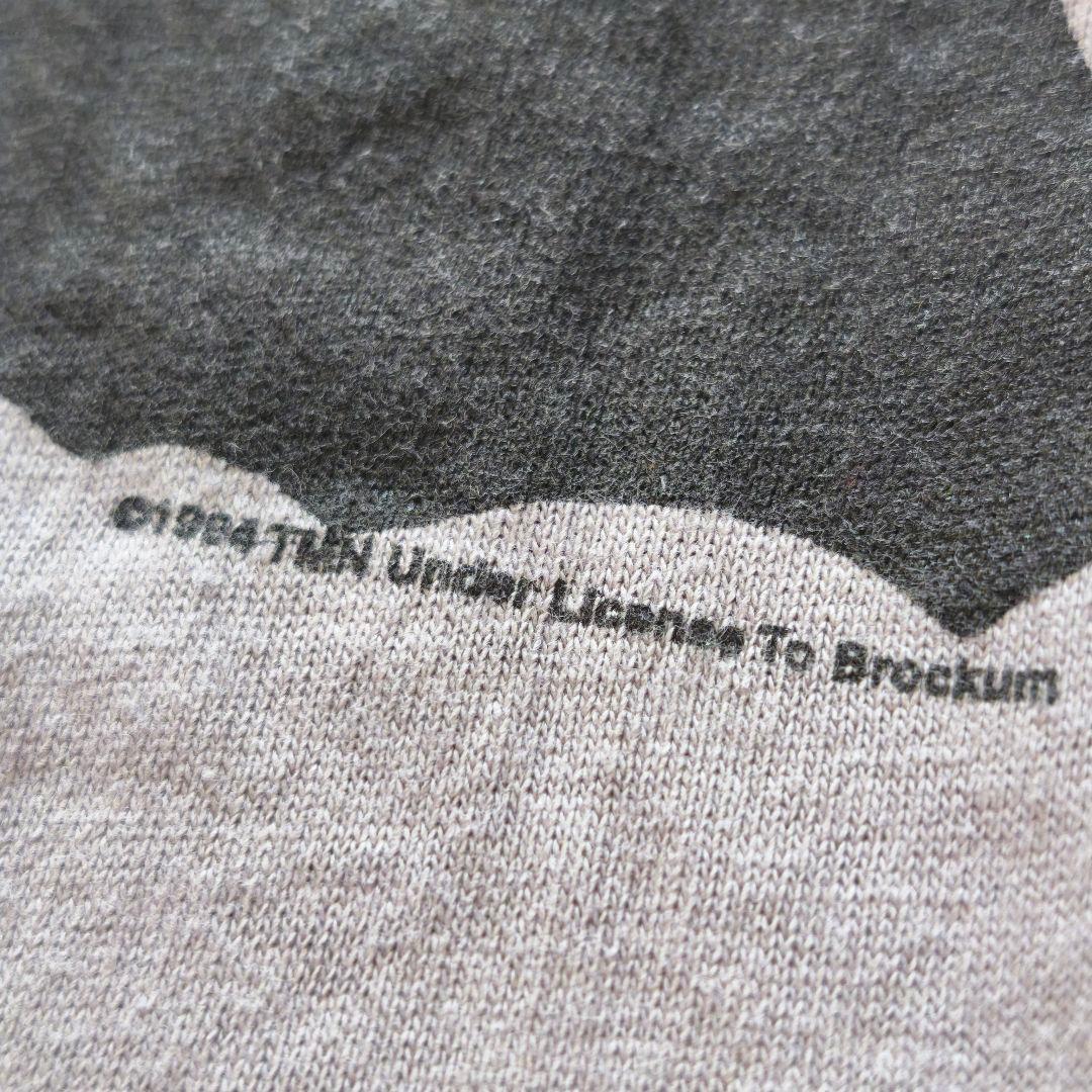 レア★TMN '94 FINAL CONCERT Tシャツ BROCKUM