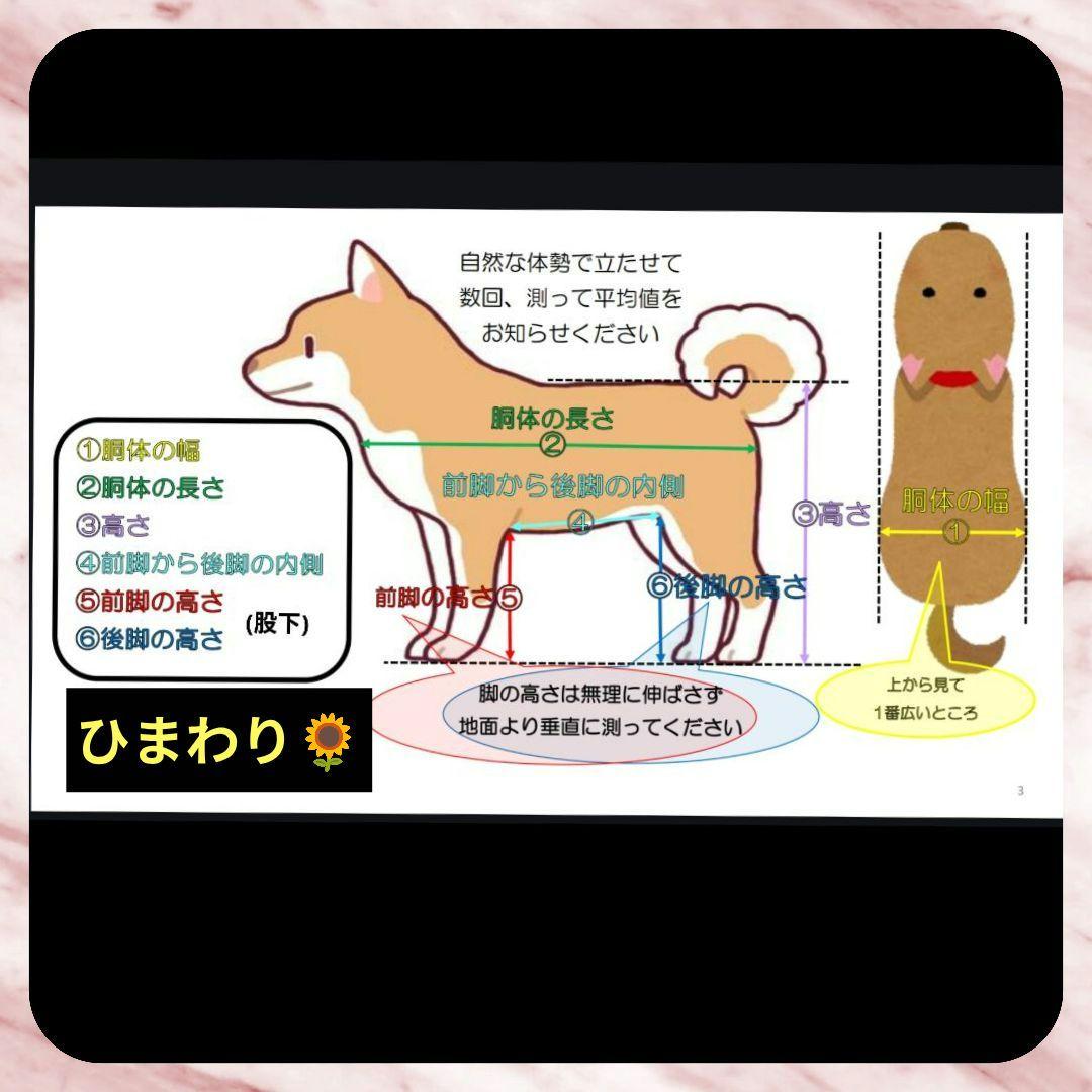 キャバプー4輪　リハビリ　食事補助　犬用車椅子　介護補助　犬の歩行器