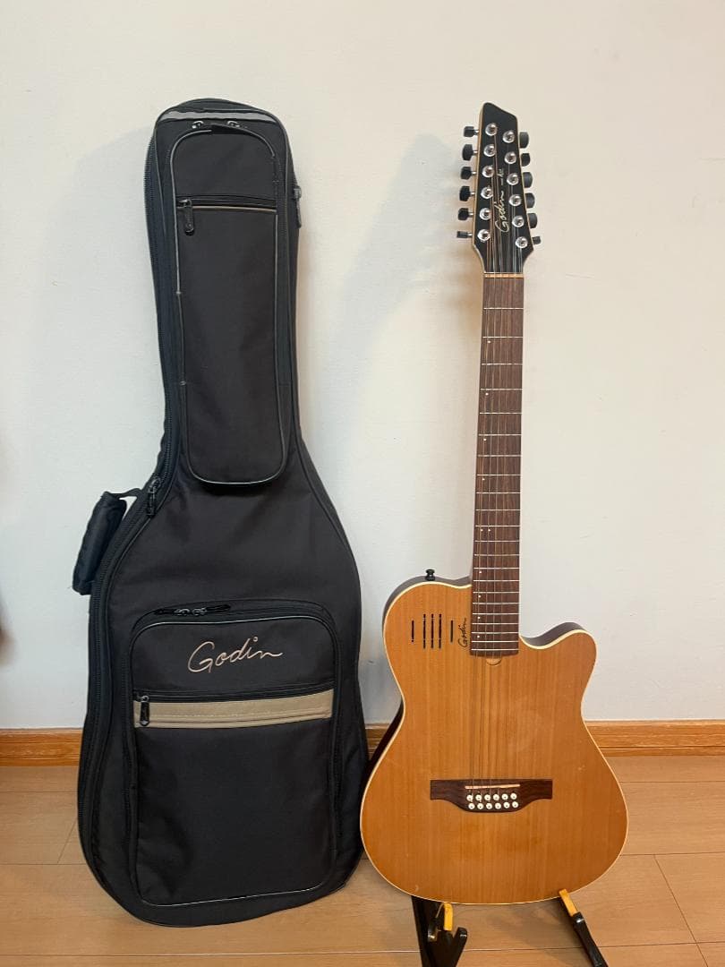 Godin　ゴダン　アコースティックギター　A-１２　１２弦ギター　エレアコ