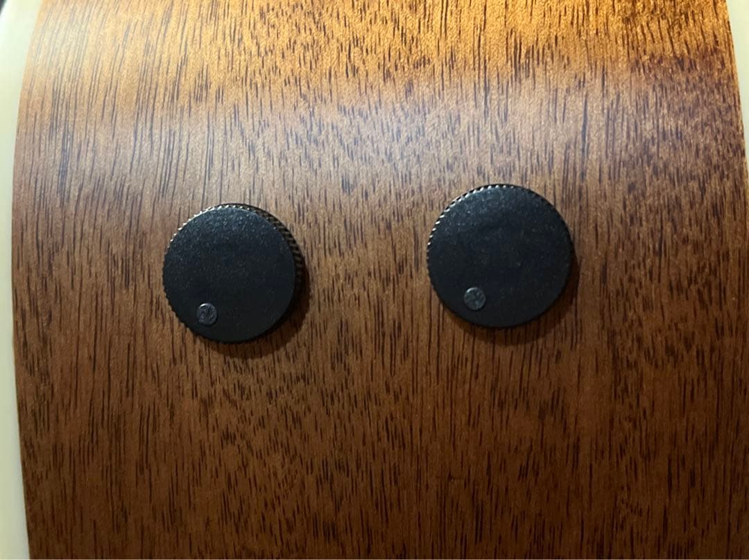 Ibanez PA230E-NSL エレアコ