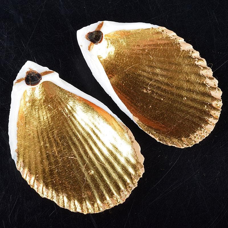 茶道具　粟野芳葉作　乾漆　内金溜　蓑貝香合　共箱　C　R7583