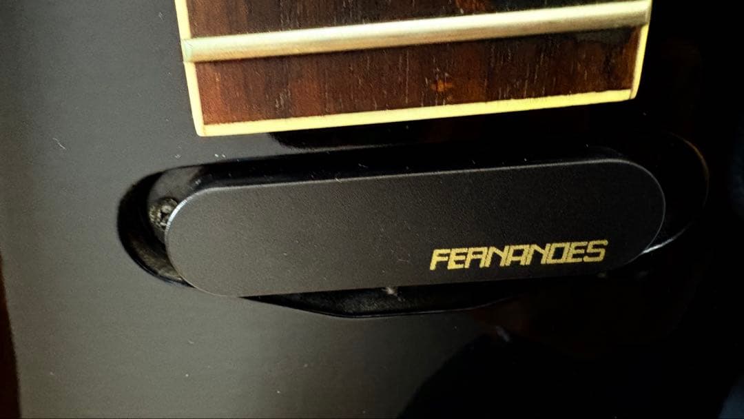 フェルナンデス LIMITED EDITION