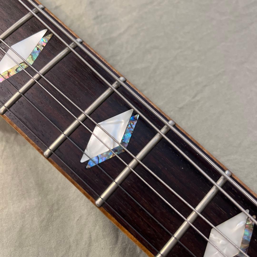 Fujigen Expert FL レスポール