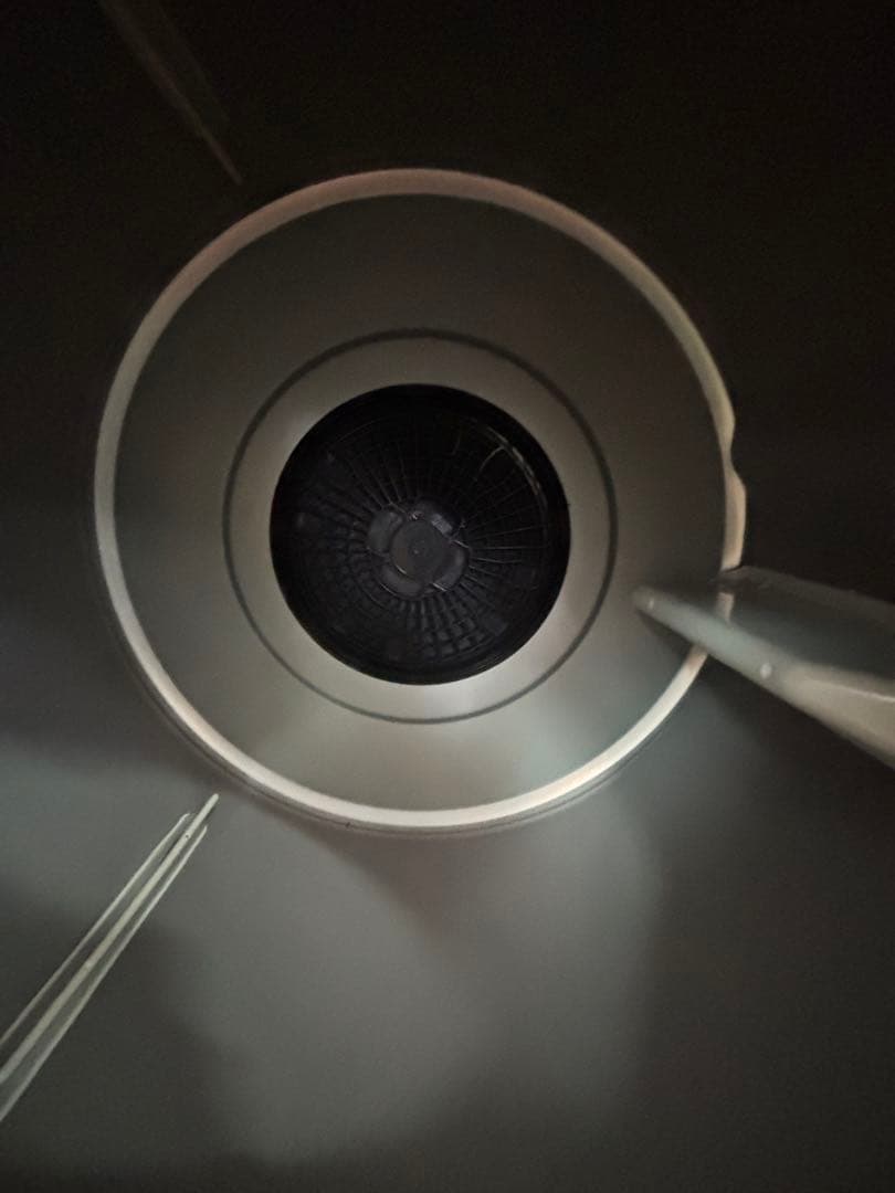 HITACHI 電気衣類乾燥機 DE-N60WV 2021年製