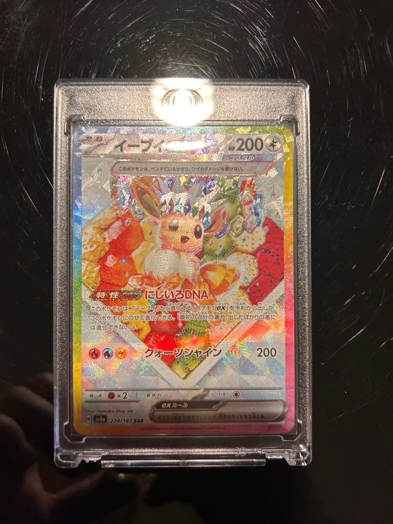 本*す様 美品)テラスタルフェスex ブイズ9種sarまとめ売りUVローダー付