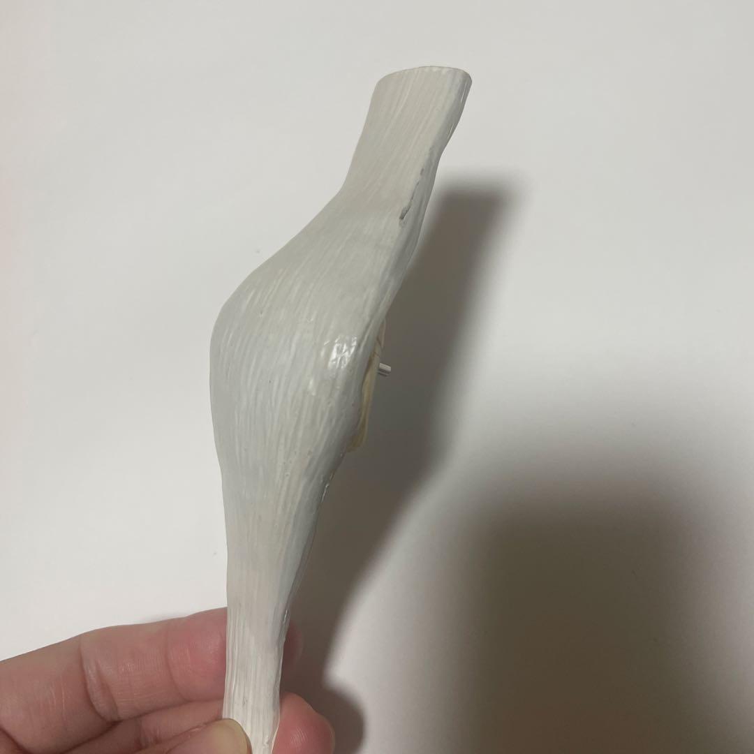 膝関節模型 3B 膝関節断面モデル