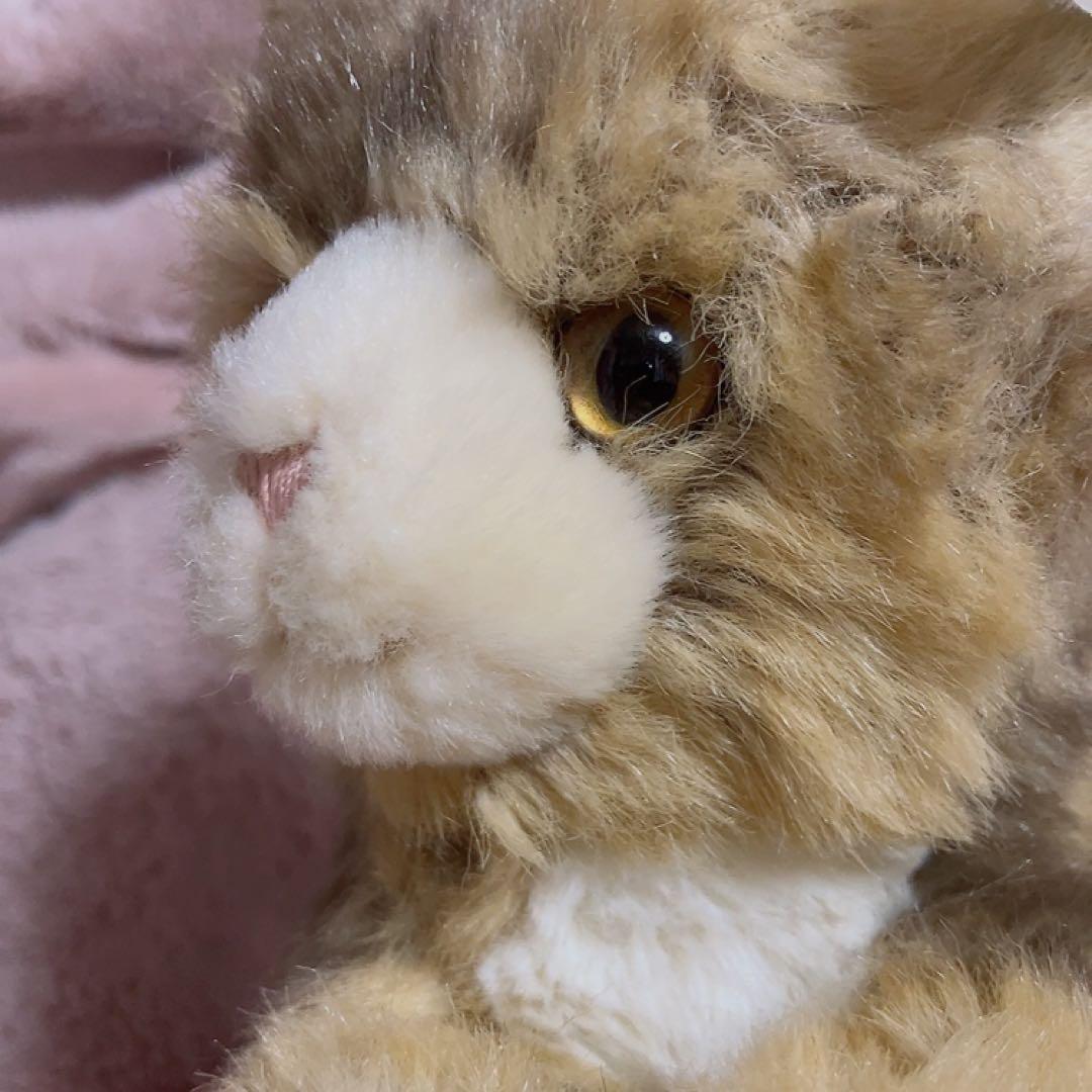 シュタイフ Steiff ねこのルーシー Lucy Katze 猫 18cm