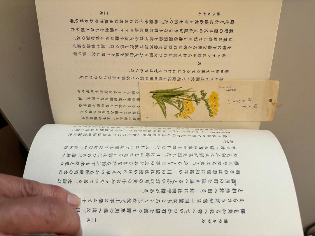 夏目漱石　復刻版　11冊　古本