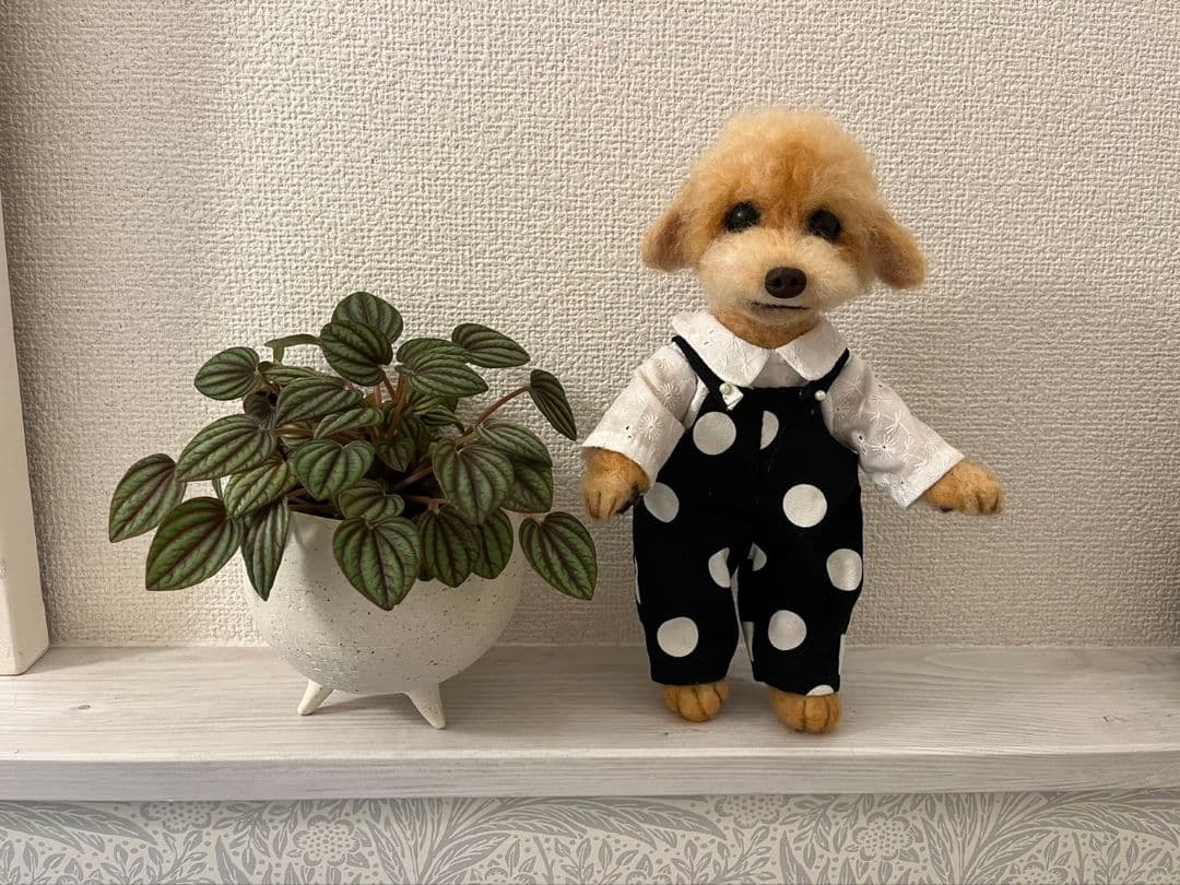 オーダー受付中　羊毛フェルト