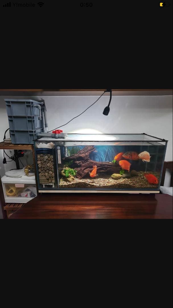 到着すぐ使える最強濾過装置、万能濾過フィルター即時発送送料込み