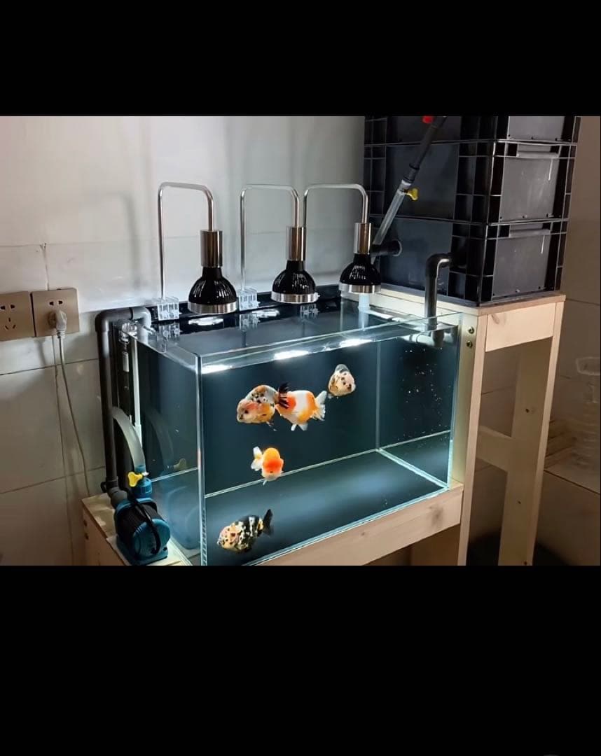 到着すぐ使える最強濾過装置、万能濾過フィルター即時発送送料込み