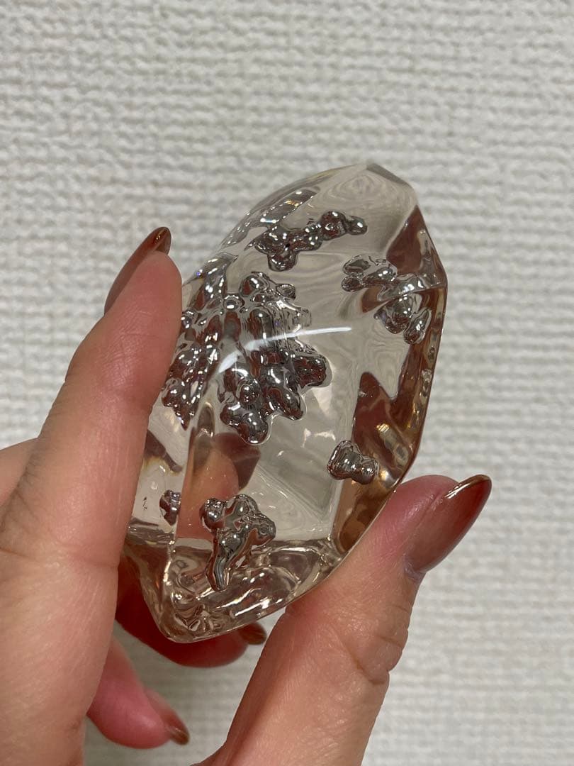 進化のいし 標本 ポケモン プレミアムバンダイ