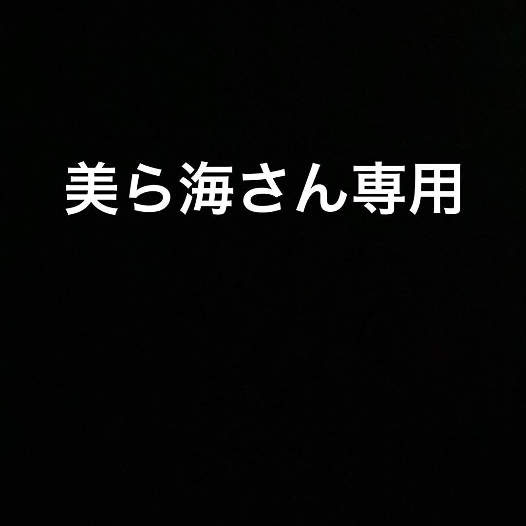 美ら海さん専用