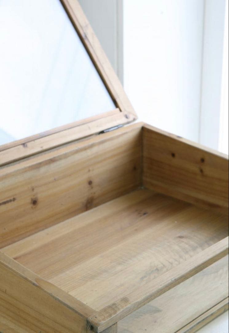 【収納ケース】ラスティパイン・ガラスケース L