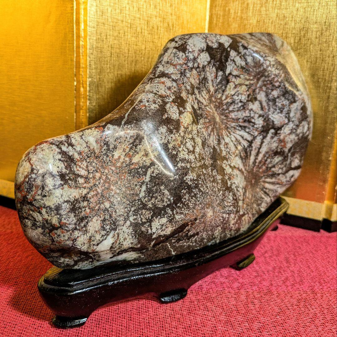 【Gojyo】菊花石 岐阜県根尾谷産5.2㌔ 鑑賞石 観賞石 水石 盆石