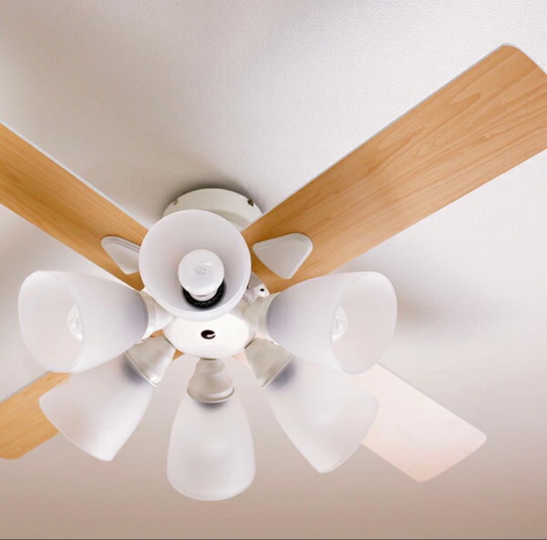 最終値下げ6灯シーリングファン ホワイト/ナチュラル