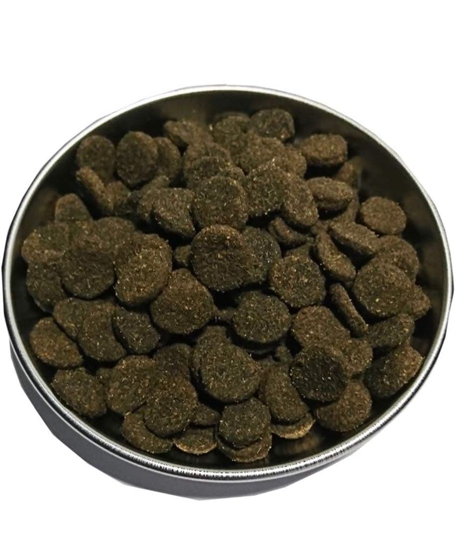 R プロフ必読 ！AZラム＆ポテト10Kg ✖️2袋ブリーダーパック