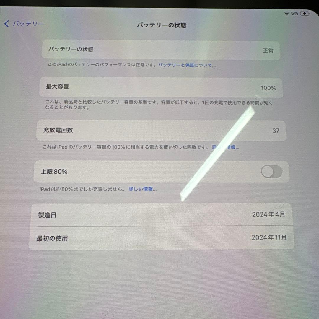 付属品多数　iPad Pro 13インチ M4 256GB シルバー Wi-Fi