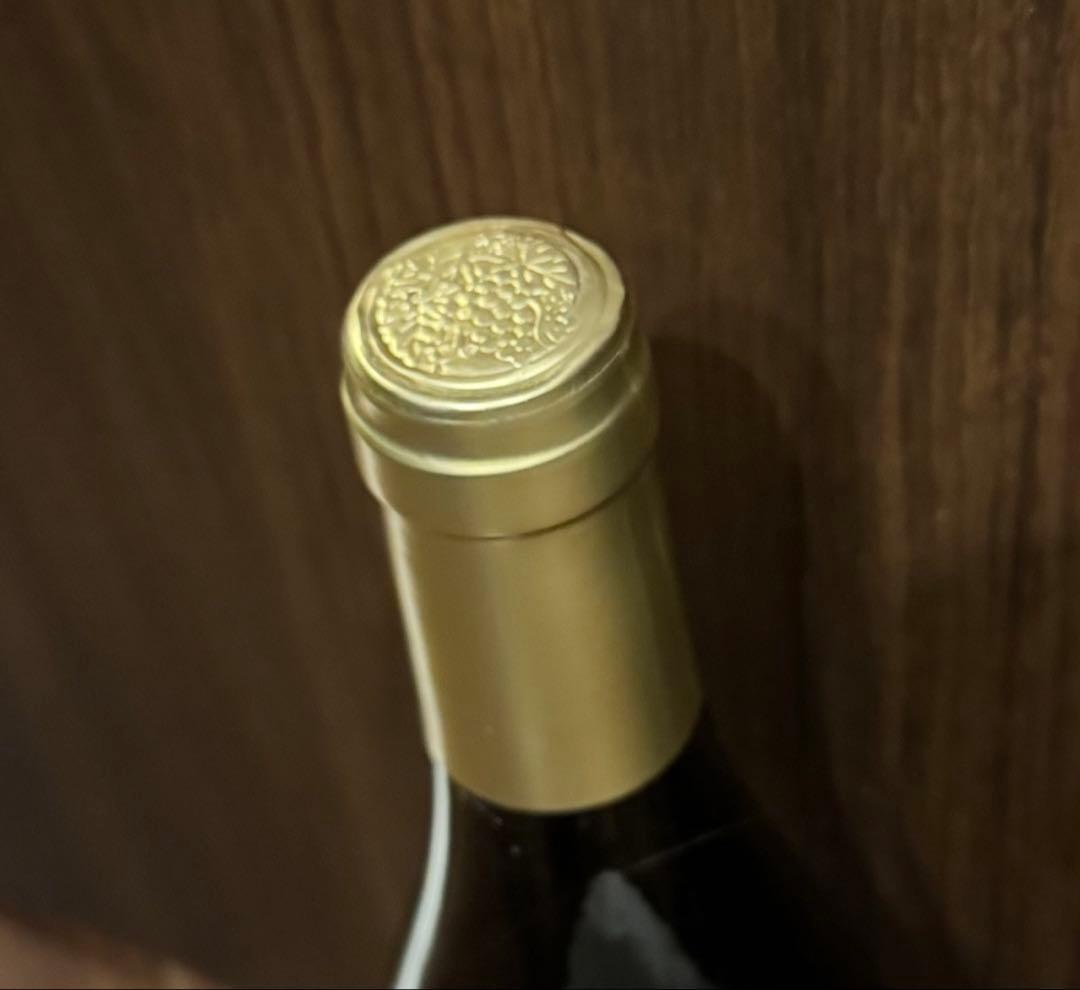 ジャン シャルル リオン クロ　ヴージョ　2019