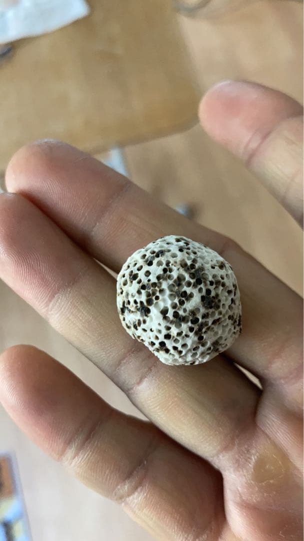 水質浄化抜群濾過材ボールろ材納豆菌入り多孔質パワーボール18L即時発送送料込み