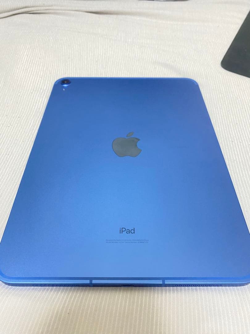 Apple iPad 本体 青