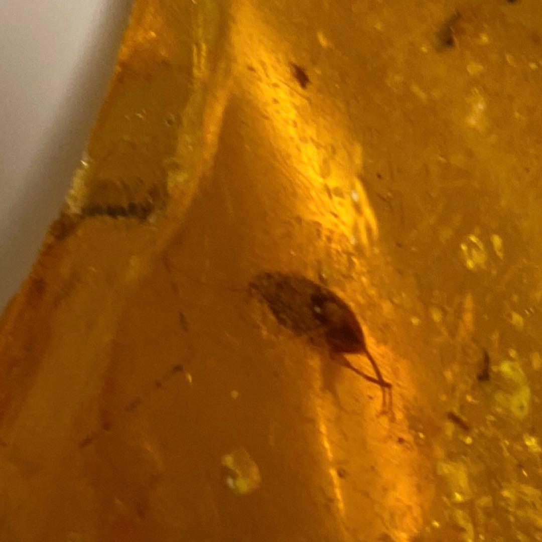 琥珀の半化石のコーパル　希少　虫入り　パワーストーン