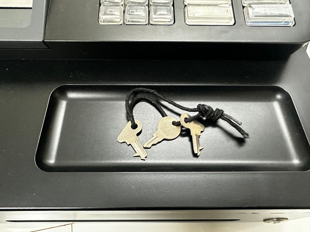 CASIO SE-G1/N L-100 レジスター