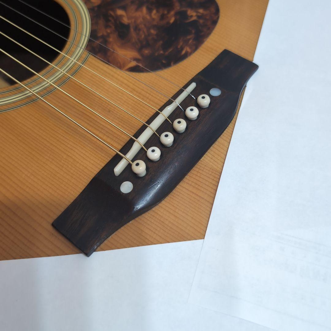 JOHNSON JD-27 オール単板 ドレッドノート