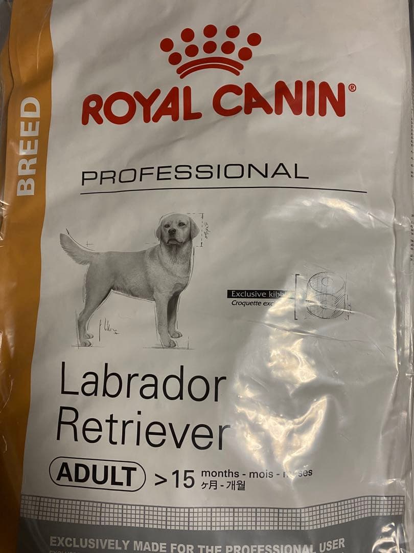 【B品：本日限り】ロイヤルカナン ラブラドールレトリバー成犬用　１３キロ