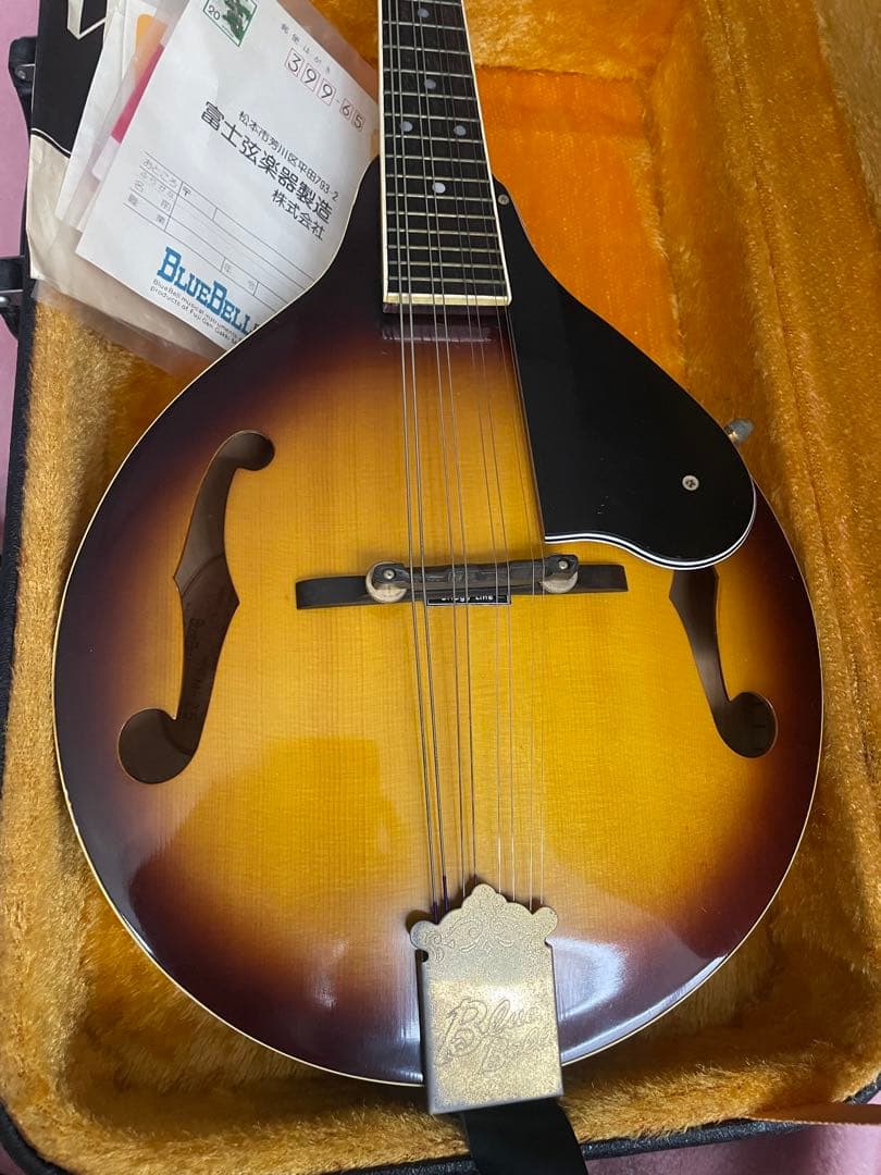 あおちゃん【希少】BlueBell フラットマンドリン 高級 FM-25