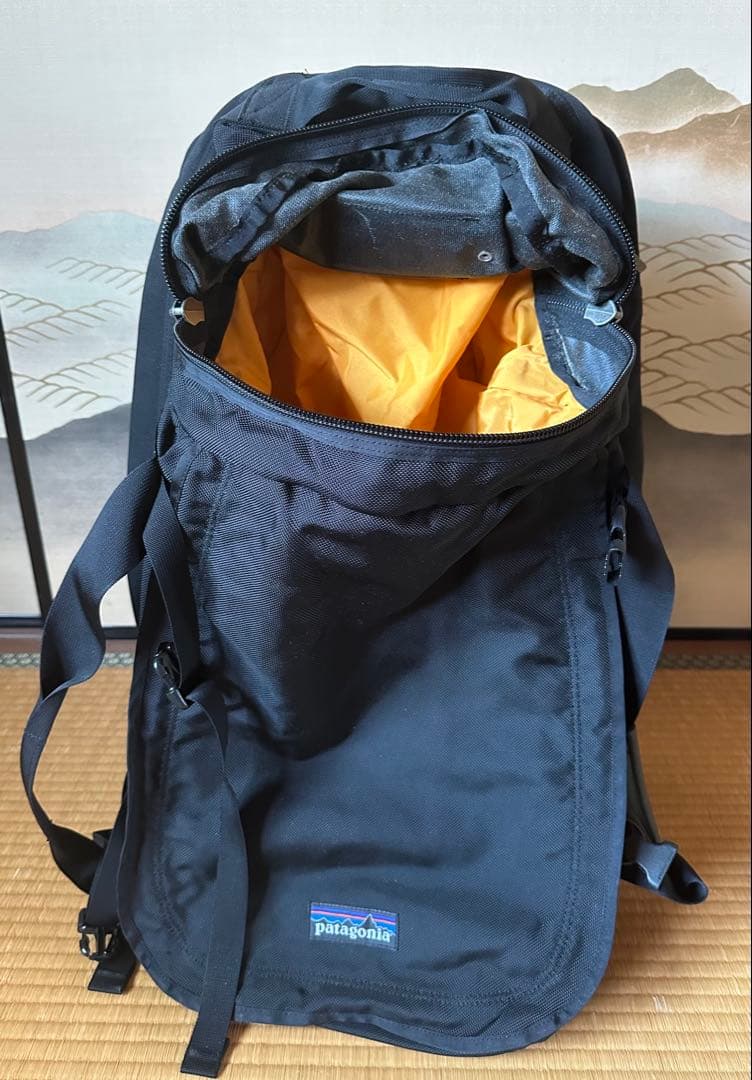 ま*ろ様 希少品 Patagonia キャリーバッグ