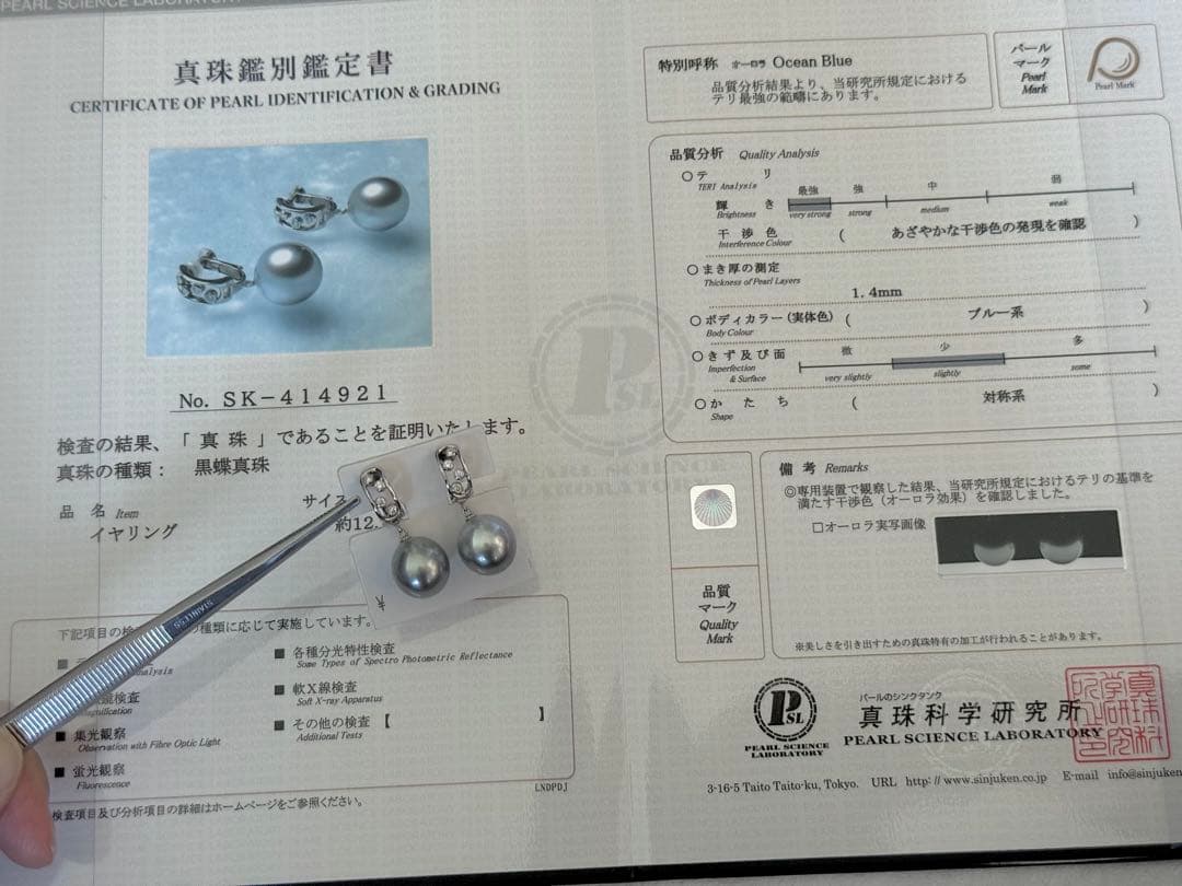 専用！真珠科学研究所オーロラオーシャンブルー黒蝶真珠ダイヤモンドイヤリングWG