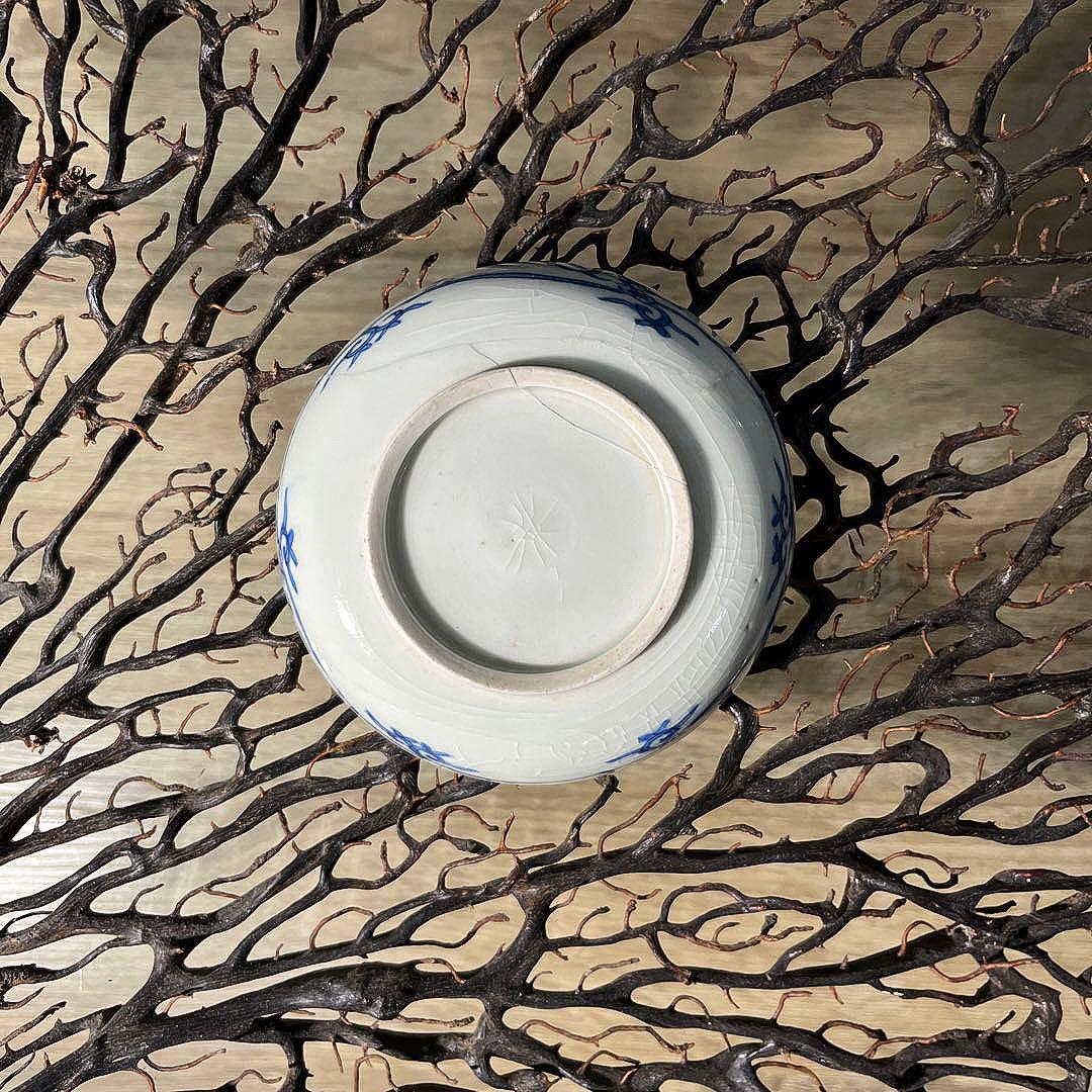 骨董　古伊万里　九谷　古染付　希少　鮎　遊魚　図案　豆皿　※難あり、参考品用