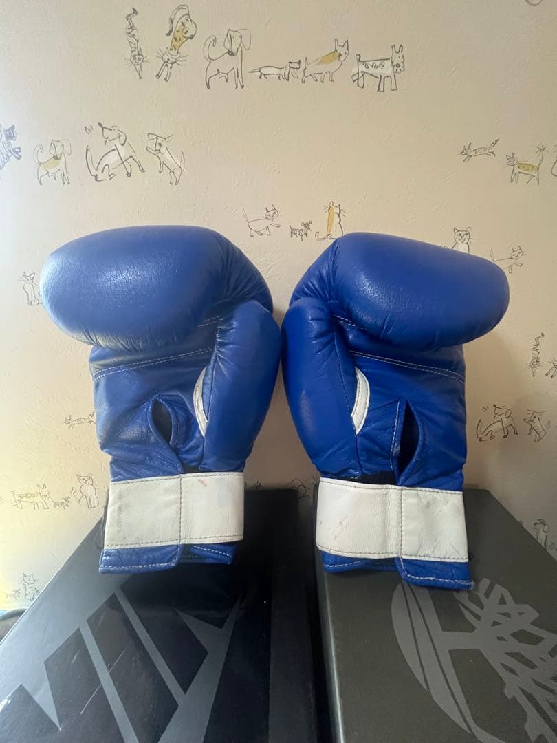 Winning ボクシンググローブ 14oz 青　ソフトタイプ
