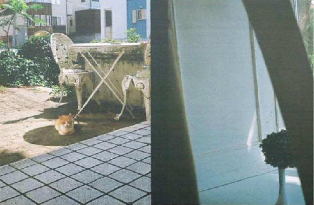 【✨6/14まで値下げ中✨】【美品】OLYMPUS EED フィルムカメラ