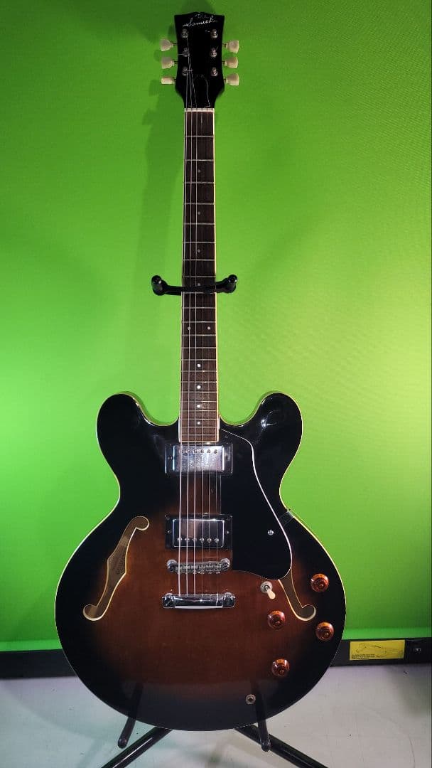 The Samick エレキギター フルホロウボディ