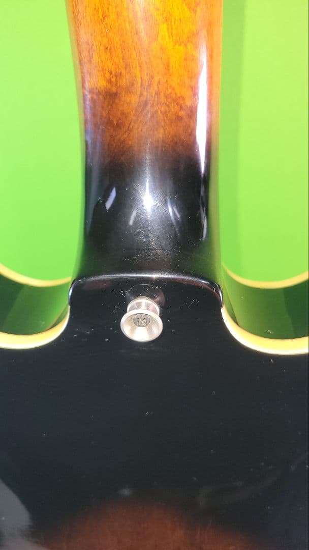 The Samick エレキギター フルホロウボディ