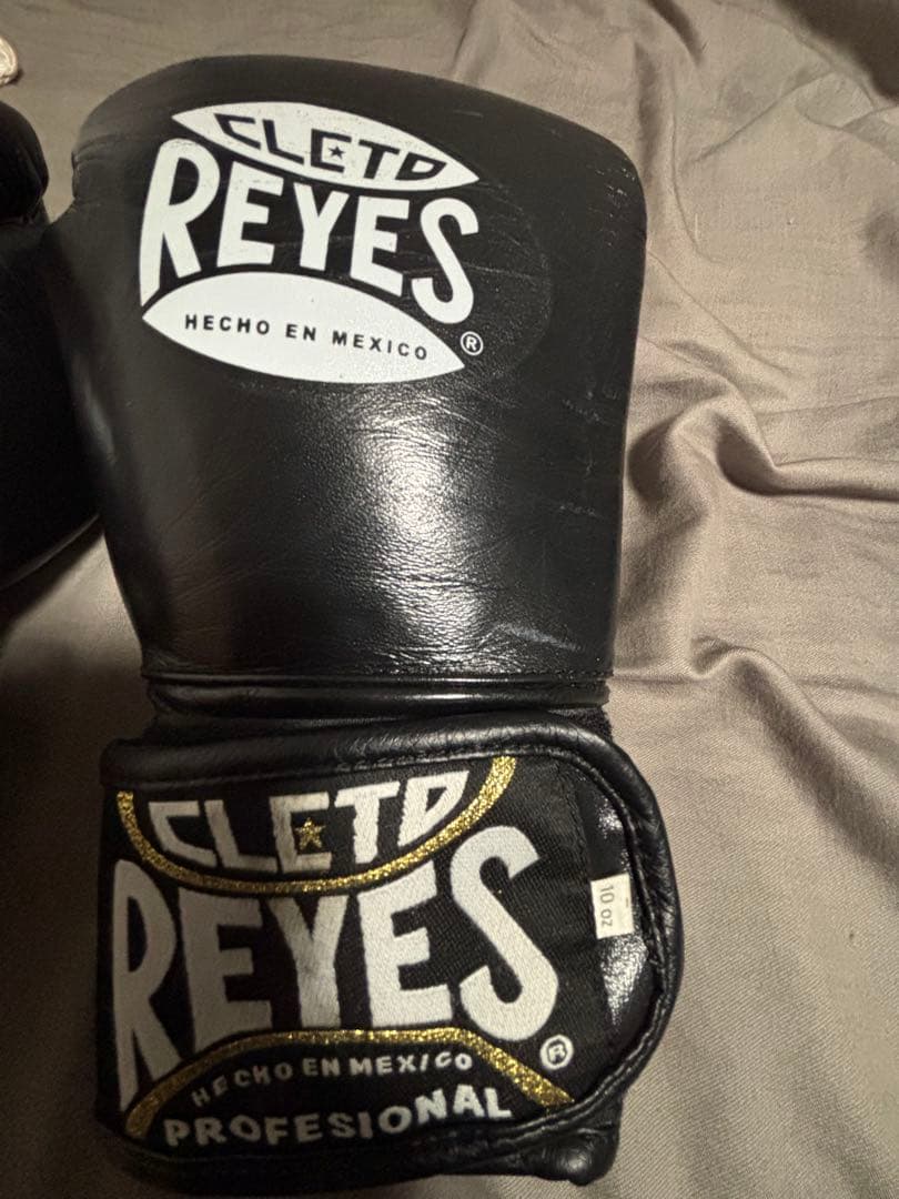 レイジェス ボクシンググローブ 10oz RAYES