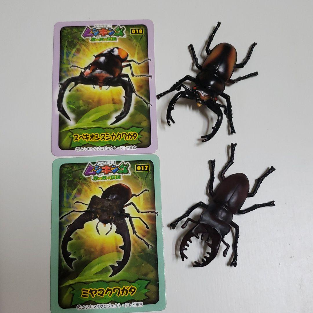 ムシキング甲虫図鑑２　フィギュアの確認用