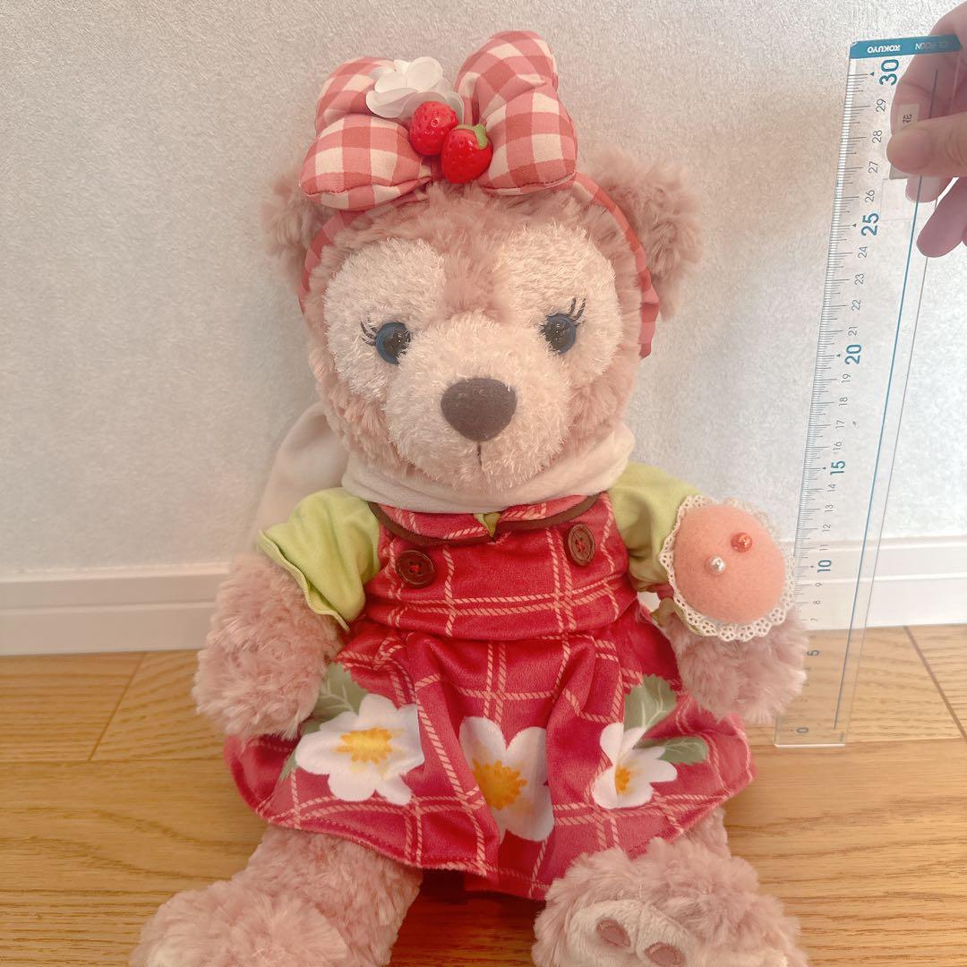 ダッフィー＆フレンズ シェリーメイコスチュームハートフェルトストロベリーギフト