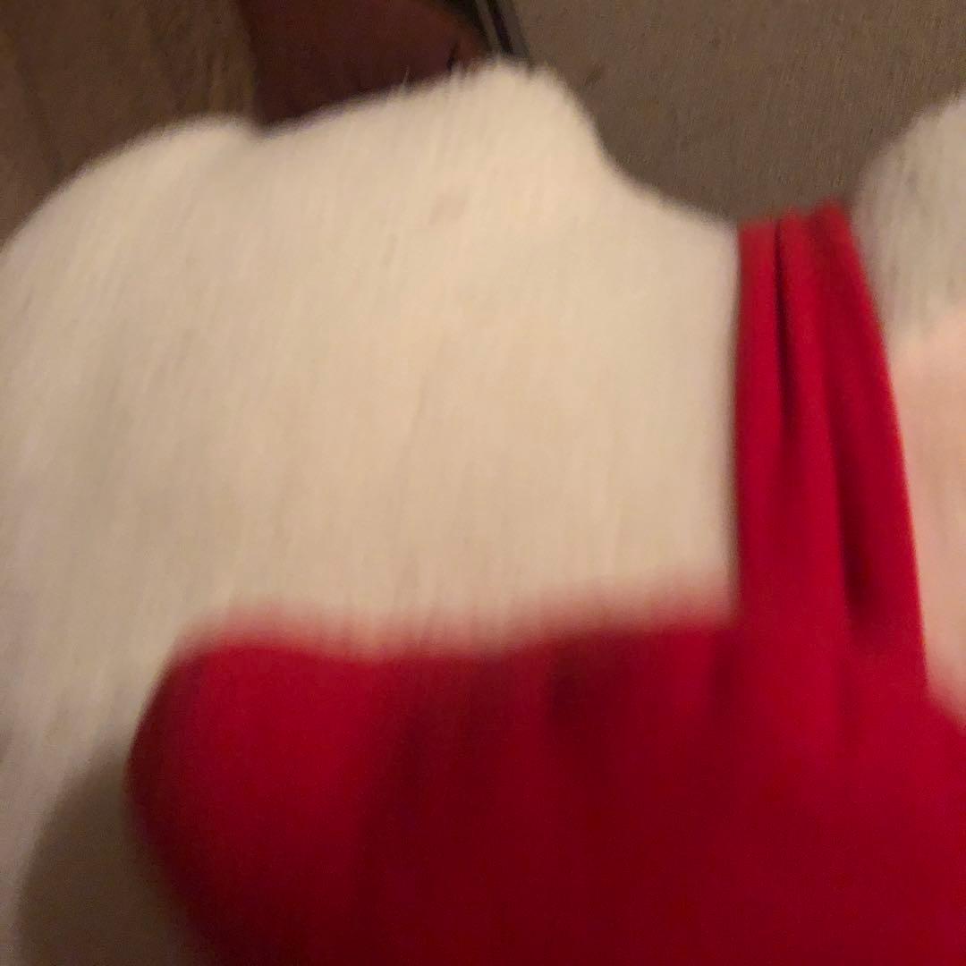 正宗ぬいぐるみ 天月 【断捨離】